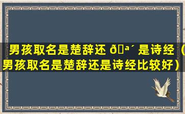 男孩取名是楚辞还 🪴 是诗经（男孩取名是楚辞还是诗经比较好）